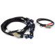Haltech Haltech Nexus V8 IGN-1A Ford Harness | race-shop.cz