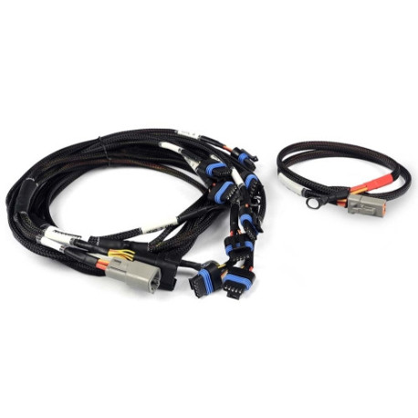 Haltech Haltech Nexus V8 IGN-1A Ford Harness | race-shop.cz