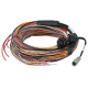 Haltech Haltech PD16 Flying Lead Harness - 5M | race-shop.cz