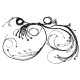 Haltech Haltech Nexus R5 LSx DBW Terminated Harness | race-shop.cz
