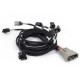 Haltech Haltech Nexus Rebel LS - Multec 2 Injector Sub Harness | race-shop.cz