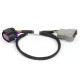 Haltech Haltech Nexus Rebel LS - 8-pin DBW Adaptor | race-shop.cz