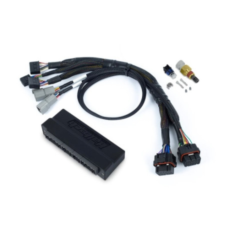 Haltech Haltech Nexus S2/S3 PnP Adapter Harn Only Honda OBD-I | race-shop.cz