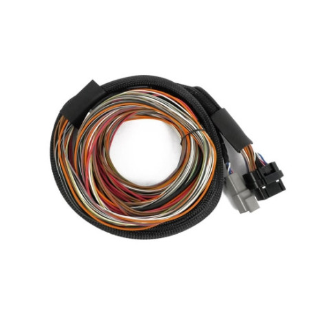 Motec Haltech Nexus IO16 Universal Wire in Harness 2.6m (8.5`) | race-shop.cz