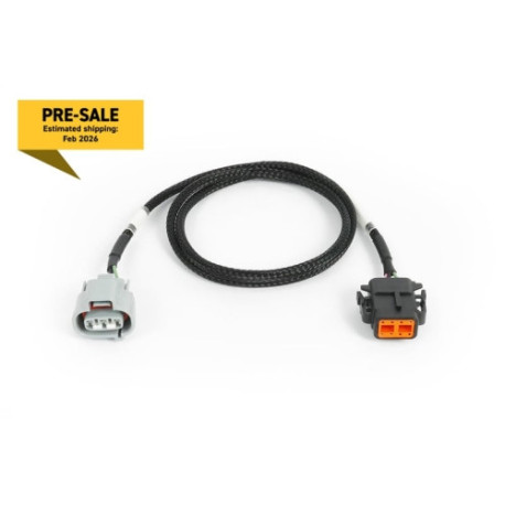 Haltech Haltech Nexus Rebel JZ - R154 Transmission Harness | race-shop.cz