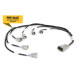 Haltech Haltech i6 Sumitomo (Denso) Primary Injector Harness | race-shop.cz