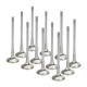 Části motoru SUPERTECH Valve Kit Exhaust Audi EA855 TTRS 29.00mm (+1) Inc | race-shop.cz