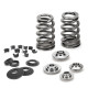Části motoru SUPERTECH Valve Spring Kit Mini W11B16 Tritec | race-shop.cz