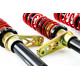 MTS Technik komplet MTS STREET SERIES nastavitelný podvozek pro Volkswagen DERBY (86) 02/77 - 09/81 (Gold) | race-shop.cz