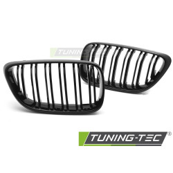 Sportovní mřížka pro BMW F22 / F23 13-21 (lesklý černý dvojitý pruh)