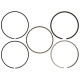 Části motoru Wiseco Piston Ring Set 3.766"" 1.5 x 1.5 x 3.0mm - 1 cyl. | race-shop.cz
