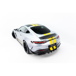 Prepreg Carbon Spoiler V.2 Mercedes-AMG GT 43 / 55 / 63 / 63 S E Performance C192