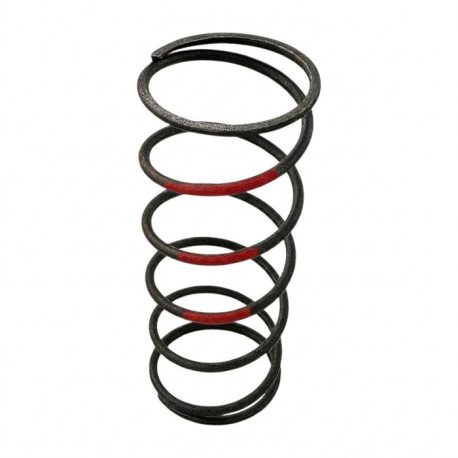 Accessories Garrett 898344-0001 Wastegate Spring GVW-40 (Red) | race-shop.cz