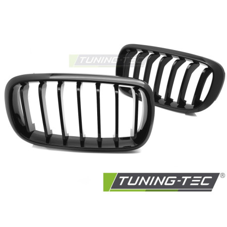Body kit a vizuální doplňky TUNING-TEC maska chladiče pro BMW X5 F15 13-18 / X6 F16 14-19, lesklá černá | race-shop.cz