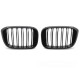 Body kit a vizuální doplňky TUNING-TEC maska chladiče (Sport Double Bar) pro BMW X3 G01 17-21 / X4 G02 18-21, lesklá černá | race-shop.cz
