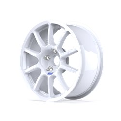 BRAID Fullrace A závodní disk R17