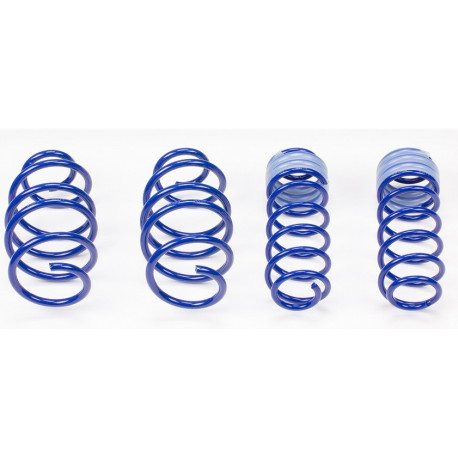 AP sportfahrwerke Sportovní pružiny AP pro VOLKSWAGEN Bora, 10/98-05/05, 50/30mm | race-shop.cz