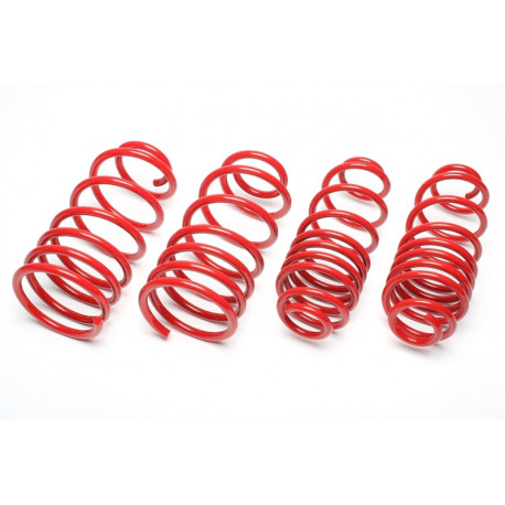 TA technix Sportovní pružiny TA-TECHNIX pro Audi A1 8X 30/30mm | race-shop.cz