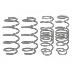 Coil Spring - lowering kit pro FORD