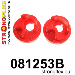 STRONGFLEX - 081253B: Upevnění vložky převodovky