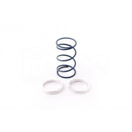 FORGE Motorsport Pružiny a podložky pro Wastegate | race-shop.cz