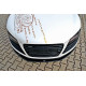 Body kit a vizuální doplňky Přední splitr Audi R8 Mk.1 | race-shop.cz
