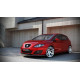 Body kit a vizuální doplňky MAXTON DESIGN přední splitter pro SEAT LEON MK2 (FACELIFT) | race-shop.cz